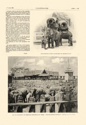 435. ฉบับ วันที่ 1 Avril 1893 (1 เมษายน 2436) หน้า 249